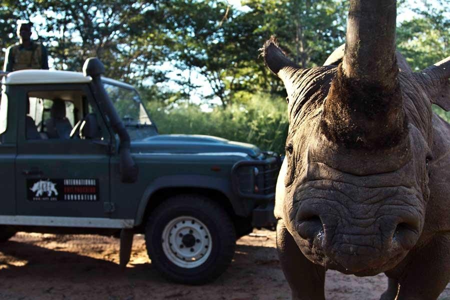 Rhino selfie IAPF