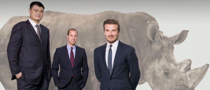 wildaid_yao_ming_prince-william_david_beckham