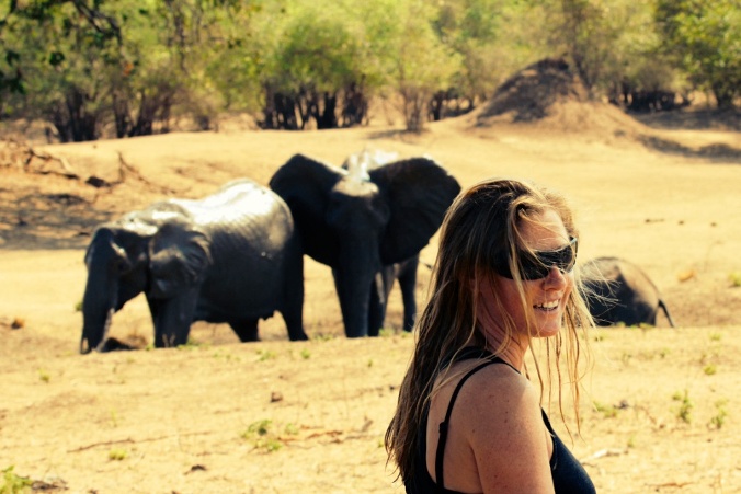elephants_mana_pools_zimbabwe_jamie_joseph