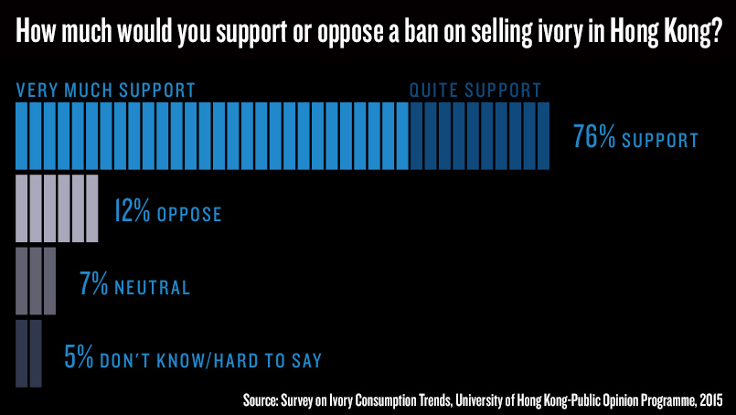 survey on ivory consumption trends
