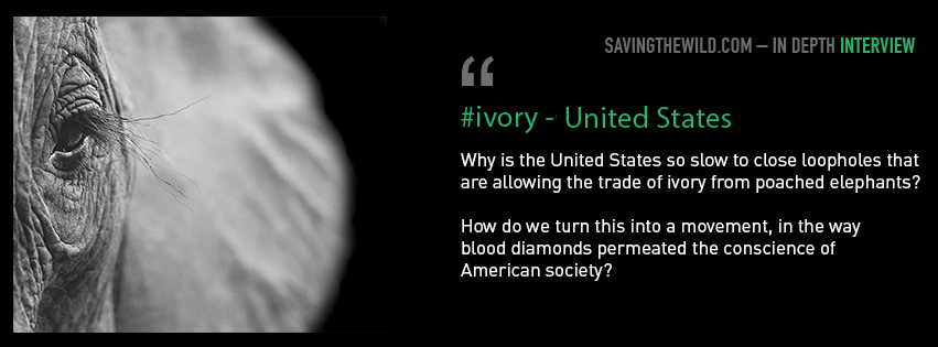 fb_cover_china_vs_us-blood-diamonds