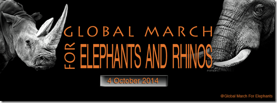 gmfer_banner