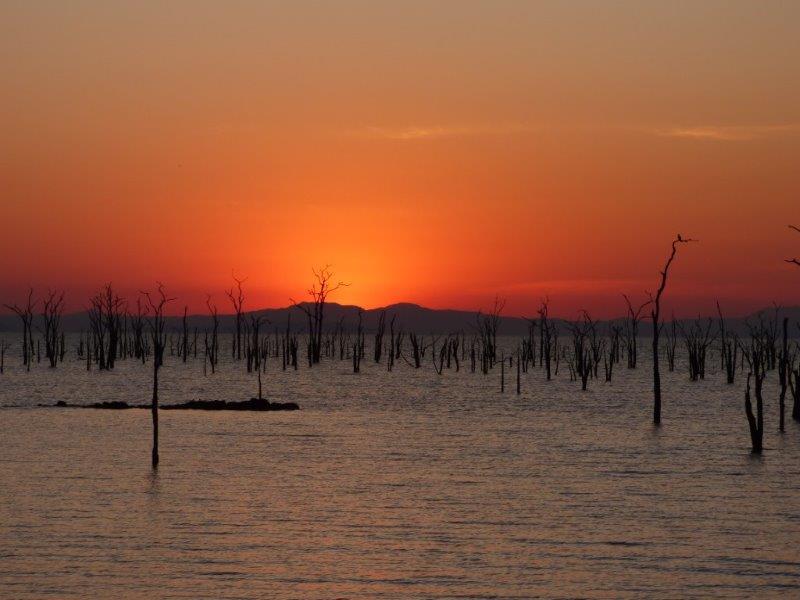 rhino_safari_lodge__ (17)