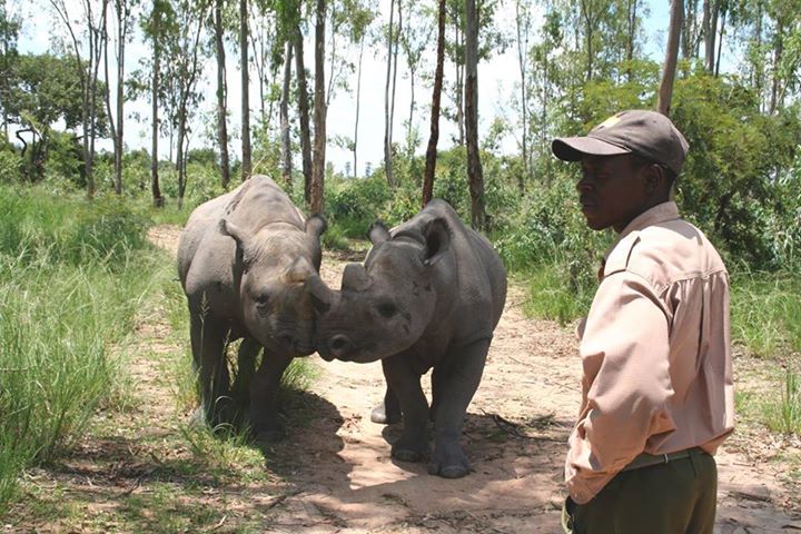 Tafadzwa_imire_rip31_aug_2015