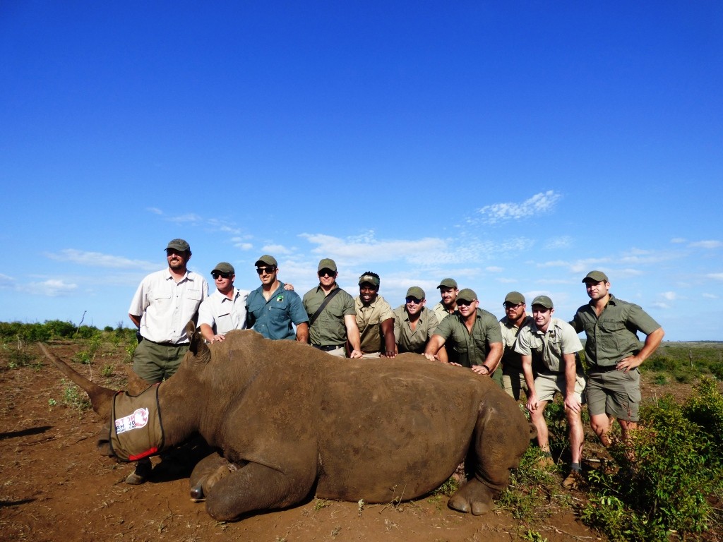 Sharks_Phinda_rhino_darting_web