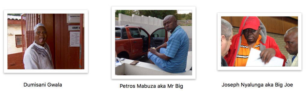 three-rhino-kingpins