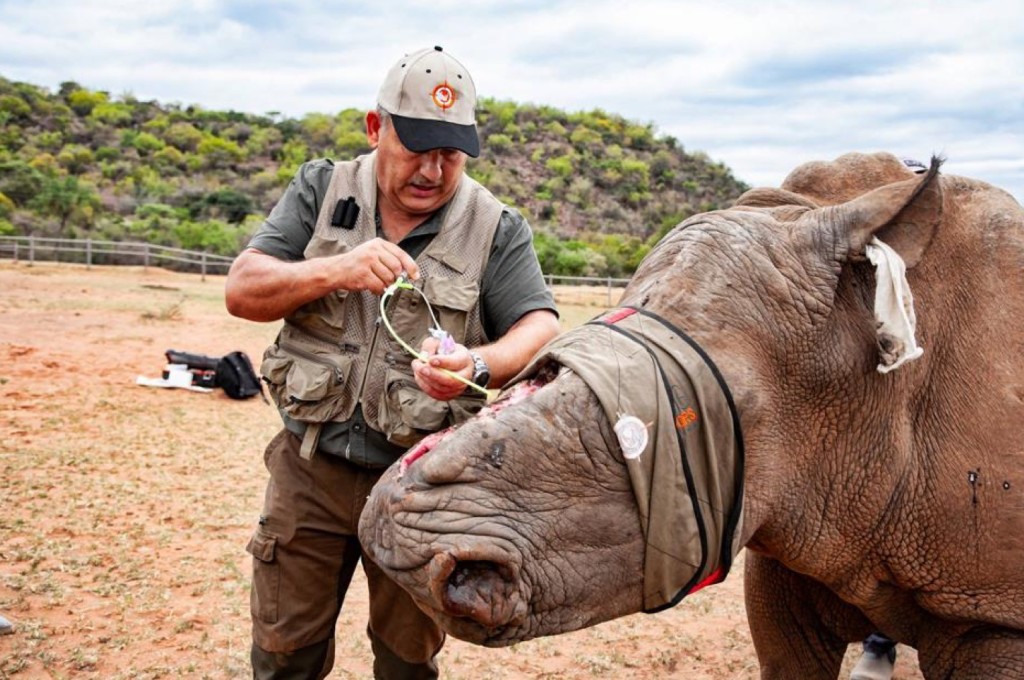 588kb-johan-marais-saving-the-survivors