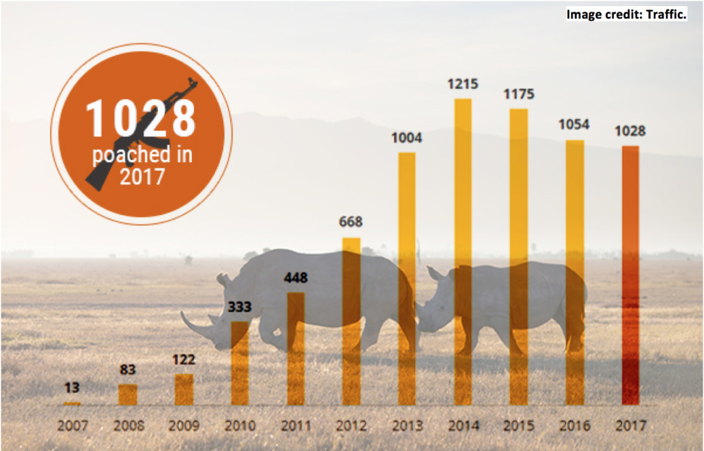 traffic-rhino-poaching-stats