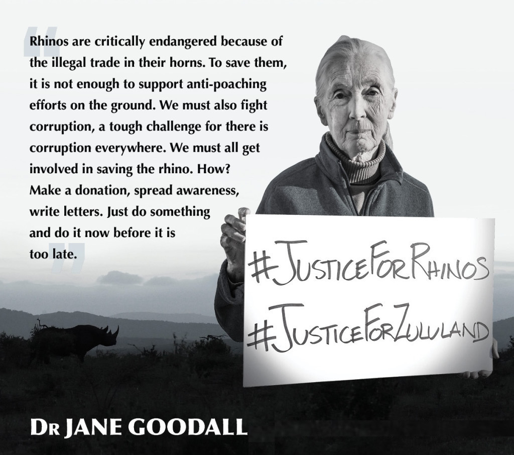 Dr Jane Goodall
